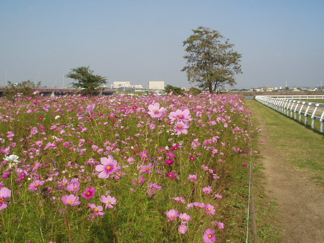 img0038.jpg
