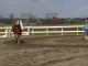 img0032.jpg