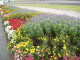 img0033.jpg