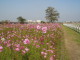 img0038.jpg