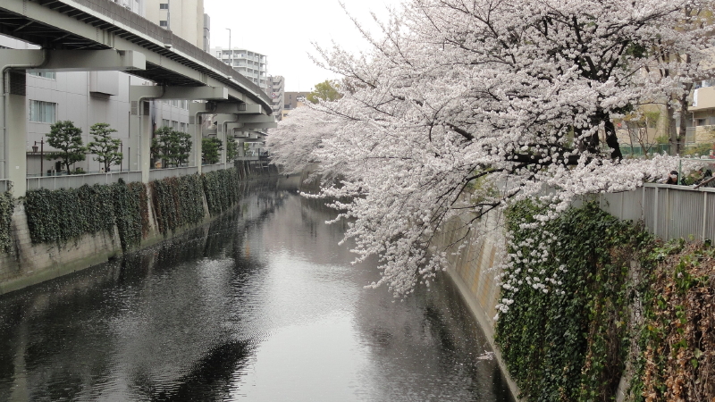 img0004.jpg