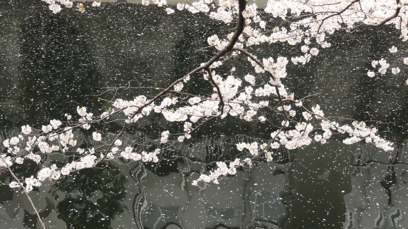 img0007.jpg