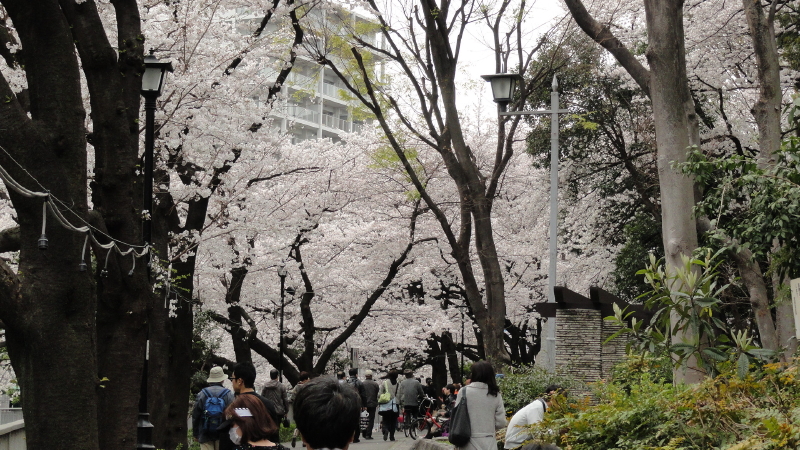 img0008.jpg
