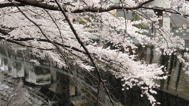 img0011.jpg