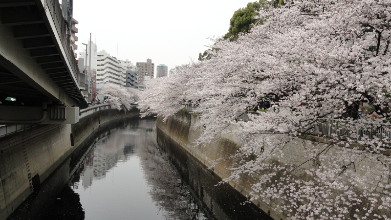 img0013.jpg