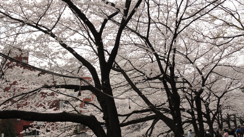 img0015.jpg