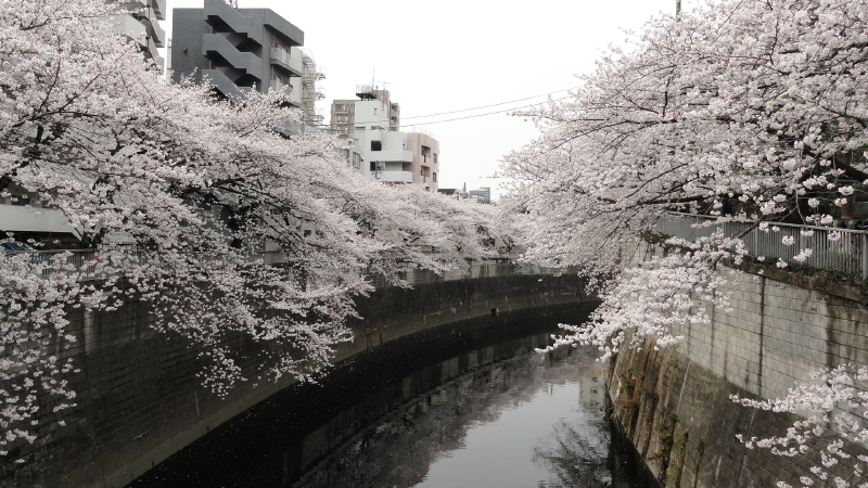 img0016.jpg