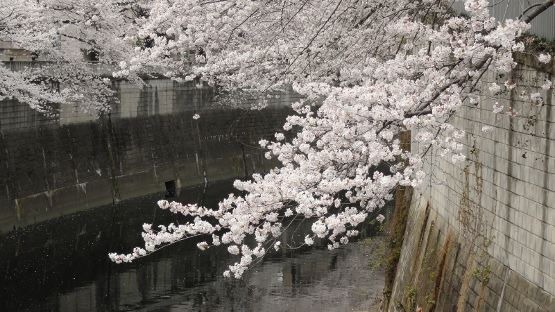 img0018.jpg