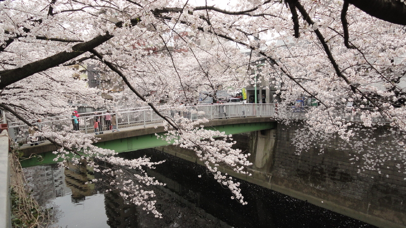 img0020.jpg