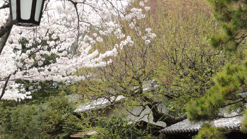 img0026.jpg