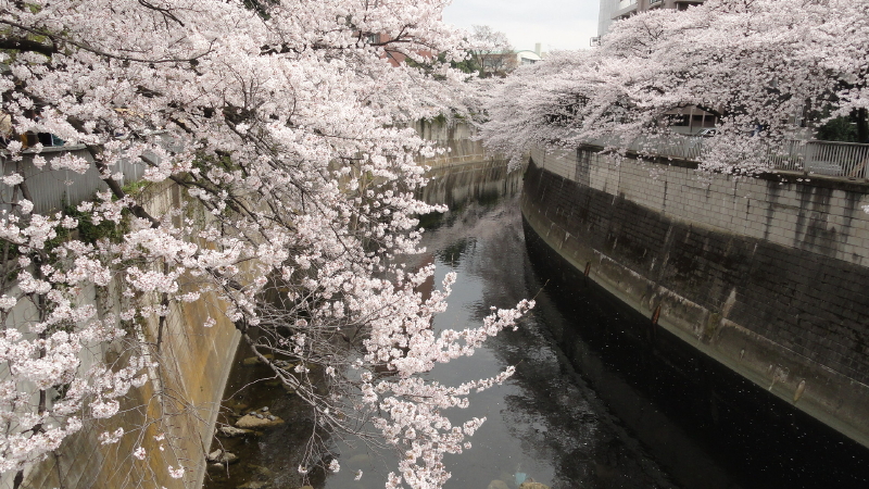 img0027.jpg