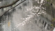 img0005.jpg