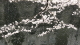 img0007.jpg