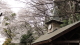 img0009.jpg