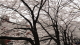 img0015.jpg