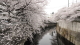 img0017.jpg