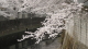 img0018.jpg