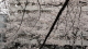 img0019.jpg