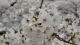 img0022.jpg