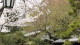 img0026.jpg