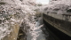 img0027.jpg
