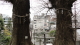 img0032.jpg