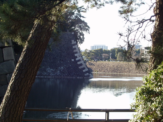 img0009.jpg