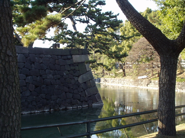 img0011.jpg