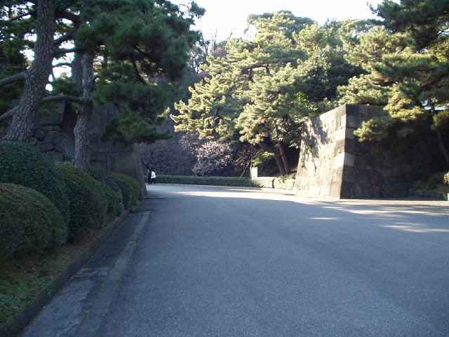 img0013.jpg