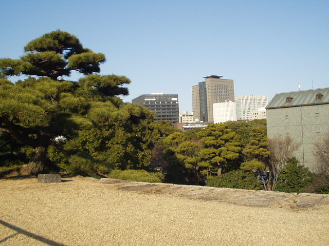 img0028.jpg