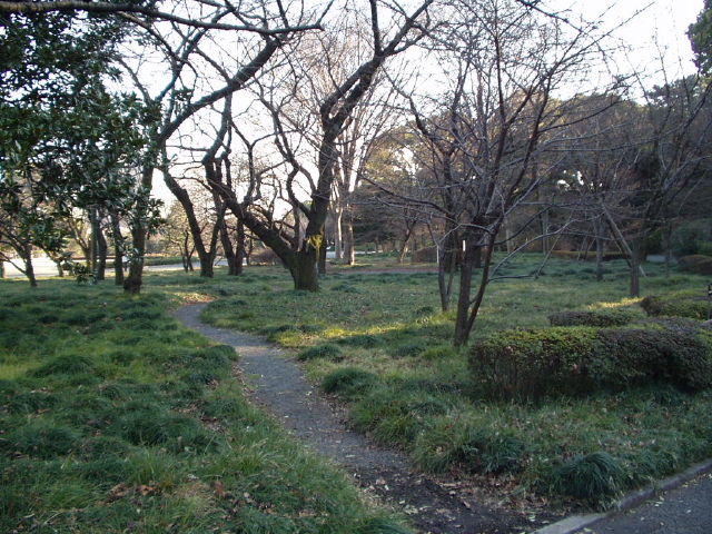 img0033.jpg