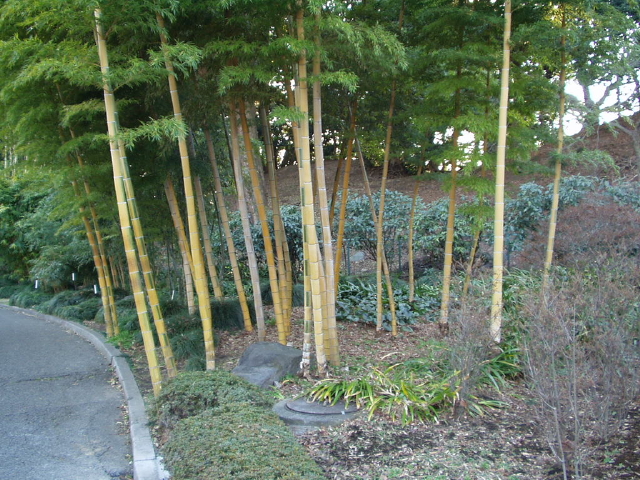 img0034.jpg