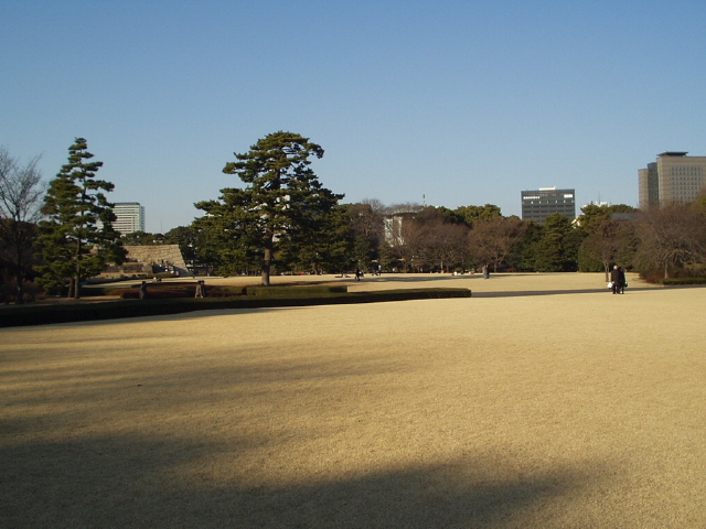 img0037.jpg