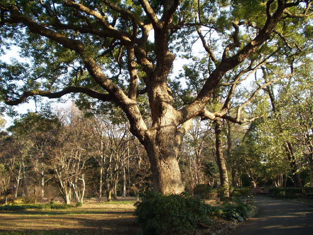 img0043.jpg