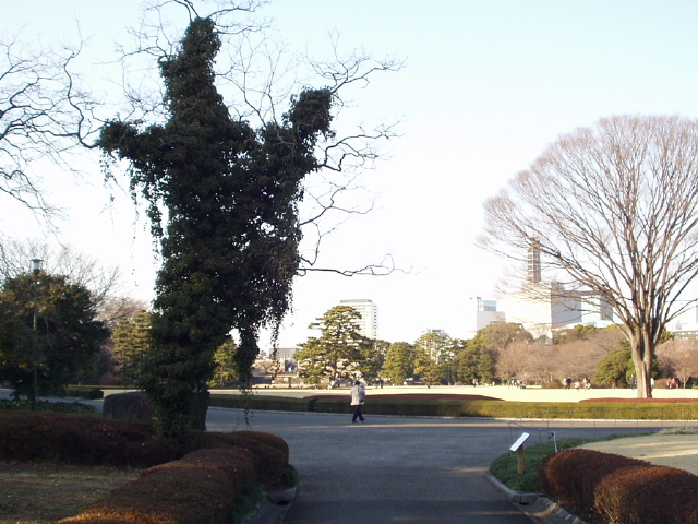 img0049.jpg