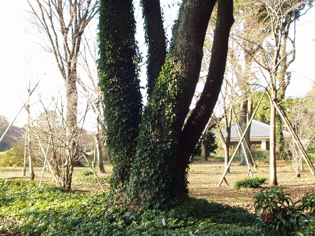 img0052.jpg