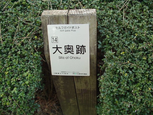 img0055.jpg