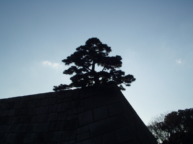 img0057.jpg