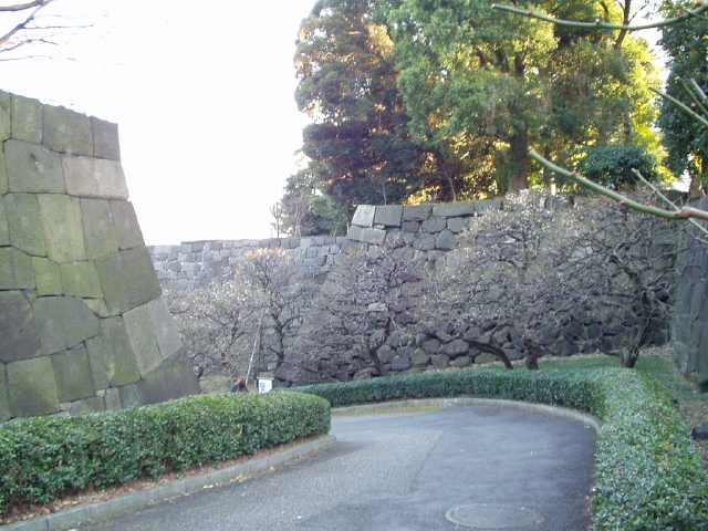 img0061.jpg