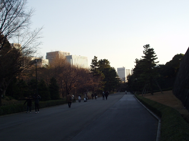 img0065.jpg