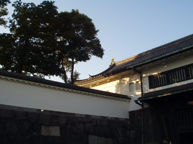 img0081.jpg