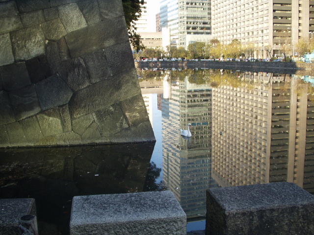 img0086.jpg