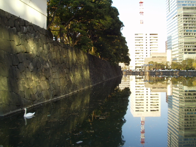 img0087.jpg