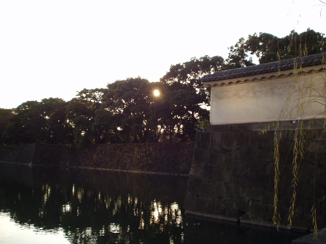 img0089.jpg