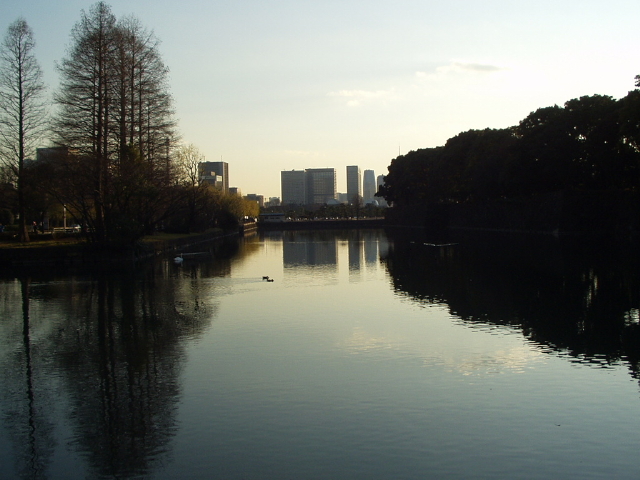 img0090.jpg