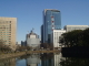 img0003.jpg