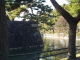 img0011.jpg