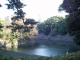 img0014.jpg