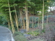 img0034.jpg