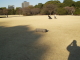 img0036.jpg